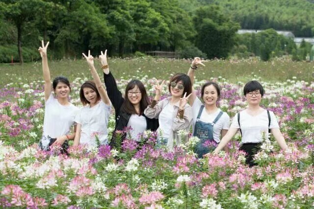 团队活动合影